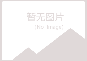 岳池县摆布能源有限公司